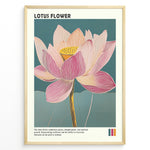 Indlæs billede til gallerivisning Plakater | Framed artistic illustration of a lotus flower with pink and cream petals on a teal background, accompanied by a description about its symbolism of purity, enlightenment, and spiritual growth.
