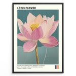 Indlæs billede til gallerivisning Plakater | Framed artistic illustration of a lotus flower with pink and cream petals on a teal background, accompanied by a description about its symbolism of purity, enlightenment, and spiritual growth.

