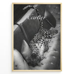 Indlæs billede til gallerivisning Fashion Plakat | Luxurious Cartier-Inspired Art Featuring Leopard on Velvet Sofa Plakaty.dk | Black-and-white image of a leopard lying on its back on a tufted velvet sofa, with the word &quot;Cartier&quot; elegantly overlaid at the top.
