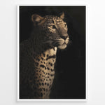 Indlæs billede til gallerivisning Fashion Plakat | Majestic Leopard in Shadow and Light Plakaty.dk | Portrait of a leopard in dramatic lighting, with half its face and body illuminated while the rest fades into shadow.
