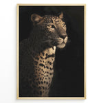 Indlæs billede til gallerivisning Fashion Plakat | Majestic Leopard in Shadow and Light Plakaty.dk | Portrait of a leopard in dramatic lighting, with half its face and body illuminated while the rest fades into shadow.
