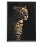 Indlæs billede til gallerivisning Fashion Plakat | Majestic Leopard in Shadow and Light Plakaty.dk | Portrait of a leopard in dramatic lighting, with half its face and body illuminated while the rest fades into shadow.
