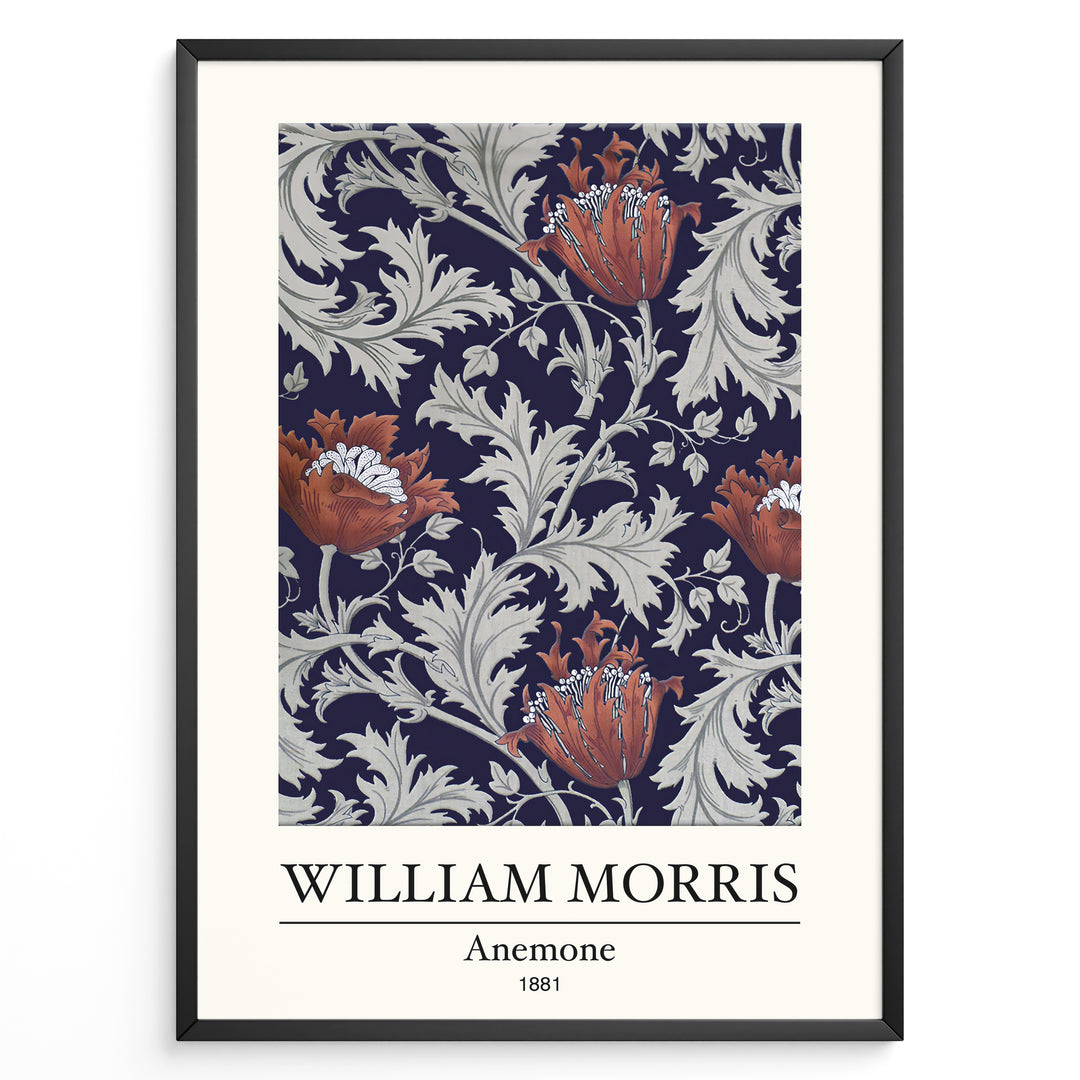 Framed William Morris Anemone 1881 art print plakat with red anemone flowers and grey foliage on a navy background.
