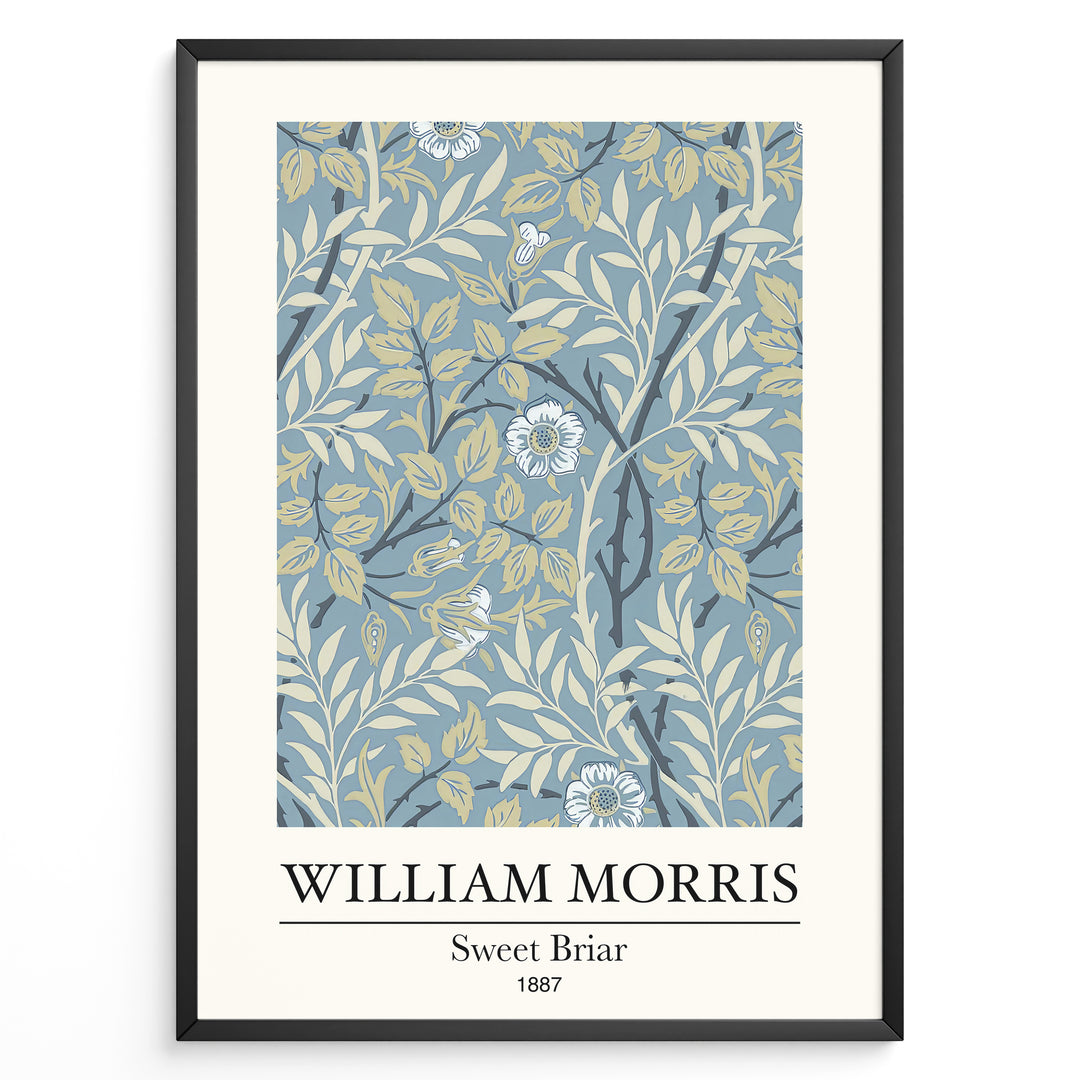 William Morris Sweet Briar 1887 botanical floral pattern art print with blue and beige leaves and flowers in black frame plakat.