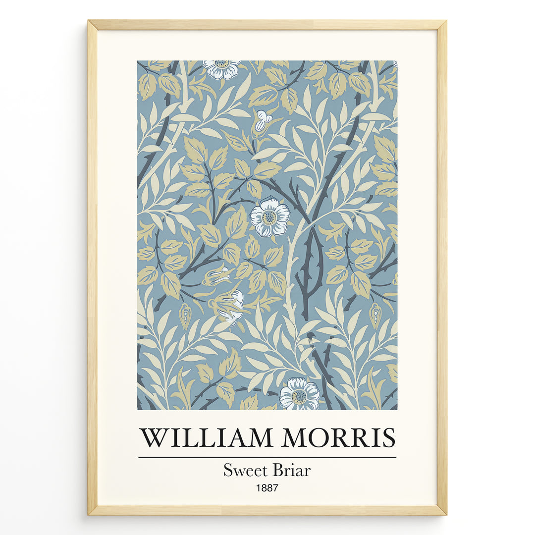 William Morris Sweet Briar 1887 botanical floral pattern art print with blue and beige leaves and flowers in black frame plakat.