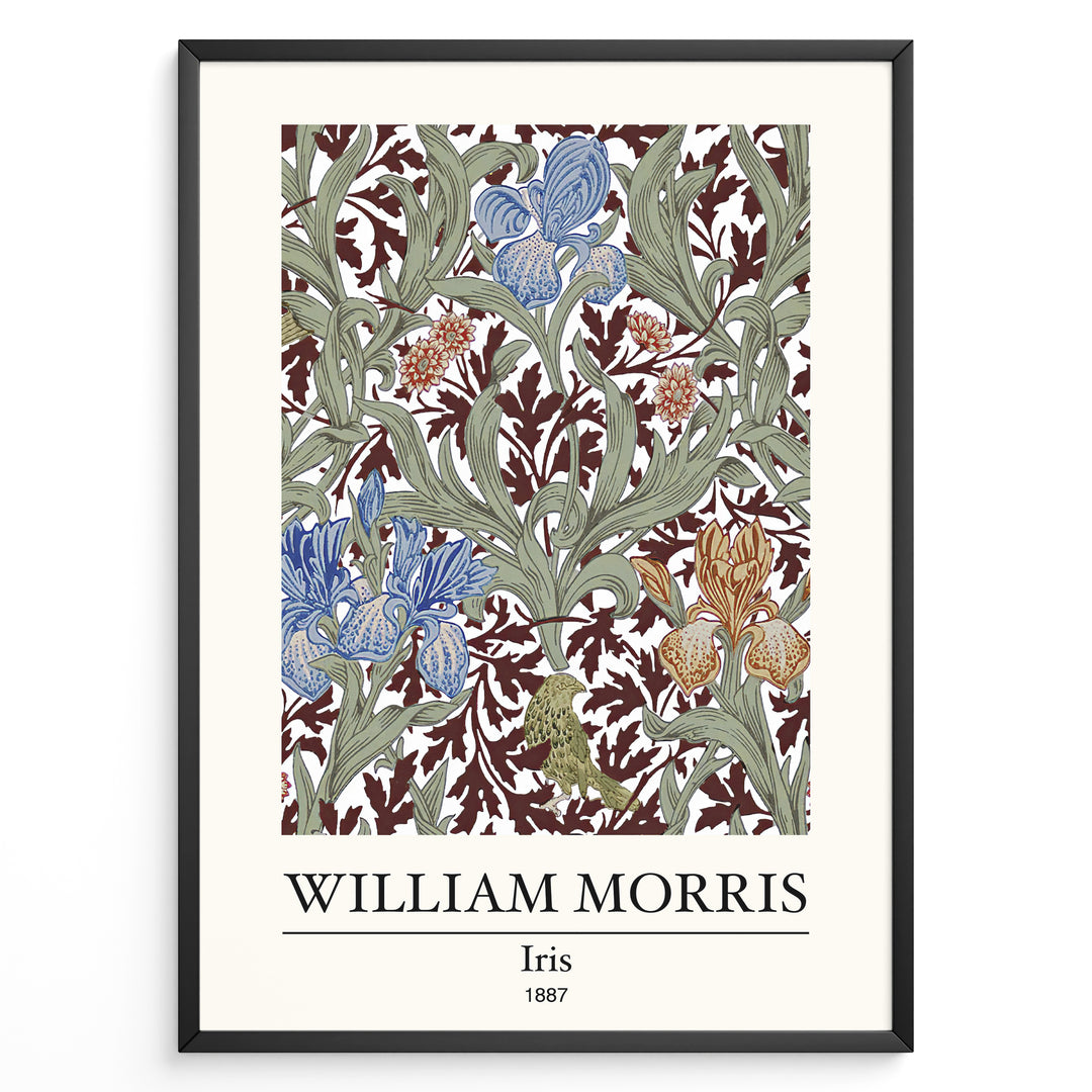 Framed William Morris Iris 1887 art print plakat featuring blue and amber iris flowers with green leaves on a rich maroon background.
