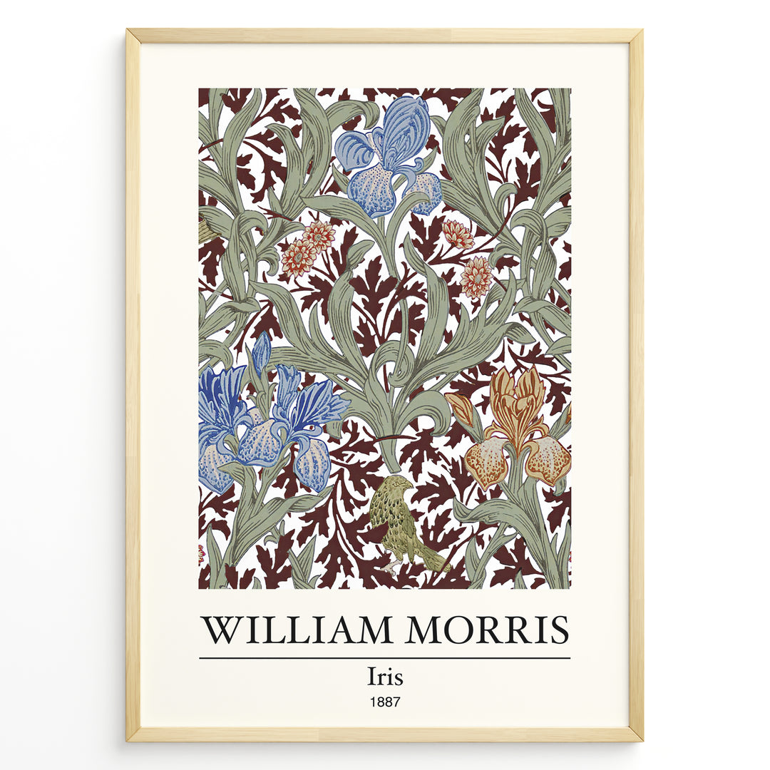 Framed William Morris Iris 1887 art print plakat featuring blue and amber iris flowers with green leaves on a rich maroon background.