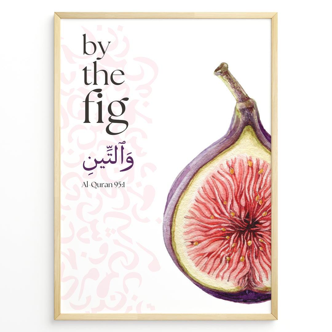 Figen plakat med botanisk illustration og engelsk samt arabisk typografi inspireret af Koranens frugter