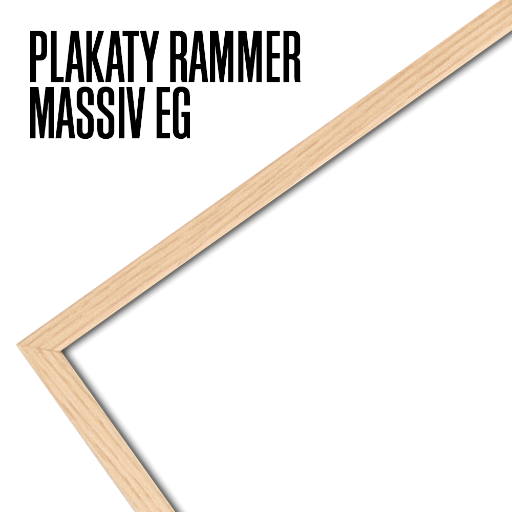 MASSIV EG RAMME